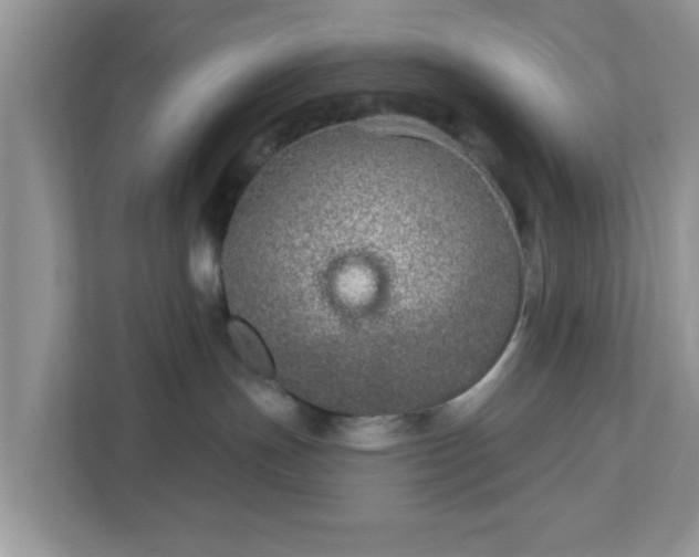 X0000111890191200907301205