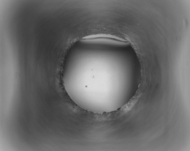 X0000111890192200907301205