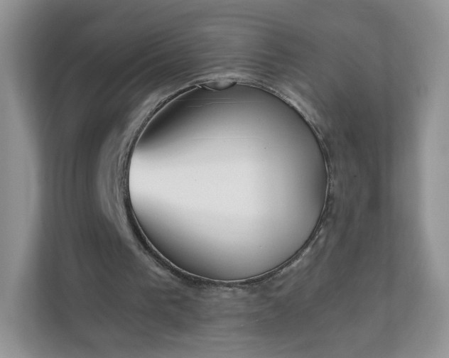 X0000111890193200907301204