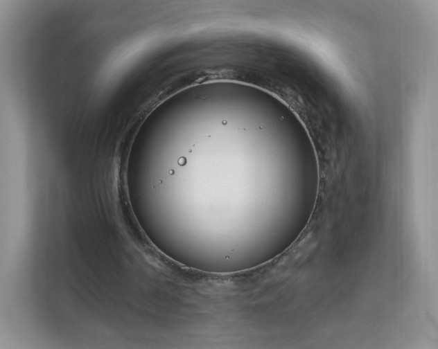 X0000111890194200907301204