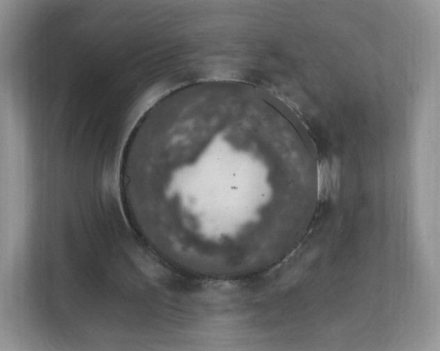 X0000111890195200907301204