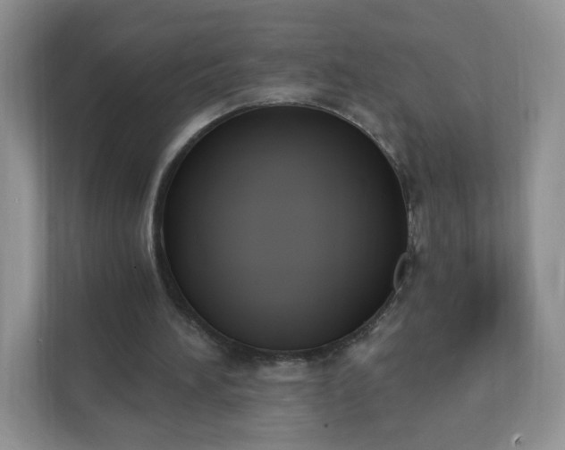 X0000111890196200907301204