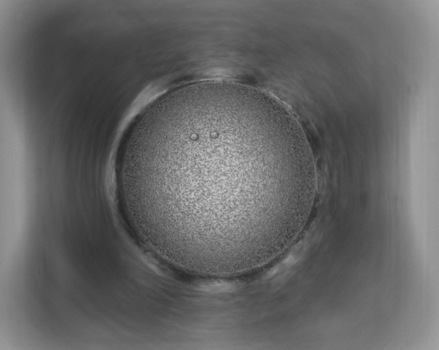 X0000111890198200907301204