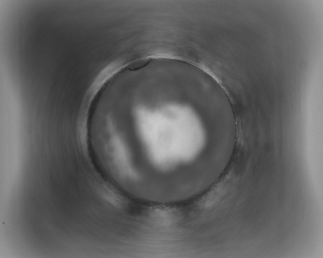 X0000111890199200907301204