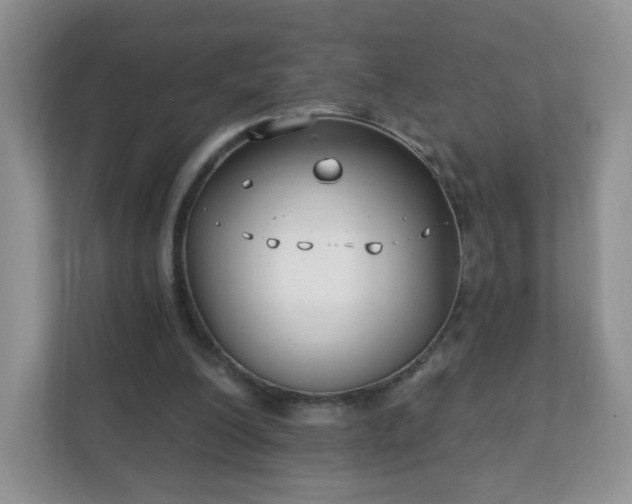 X0000111890200200907301204