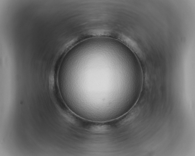 X0000111890202200907301204