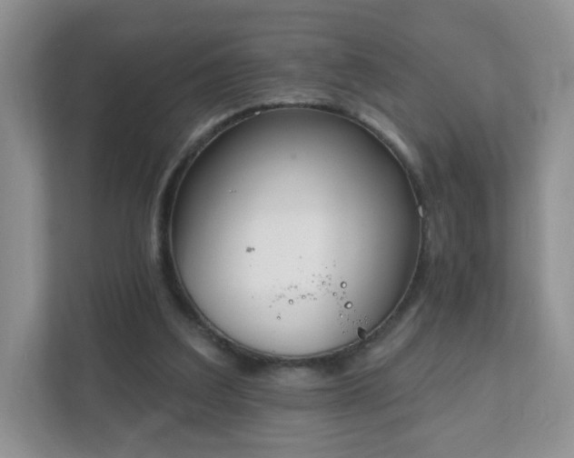 X0000111890203200907301204