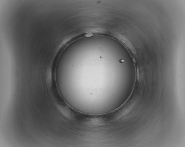 X0000111890204200907301204