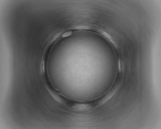 X0000111890205200907301204