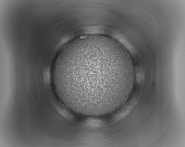 X0000111890207200907301204