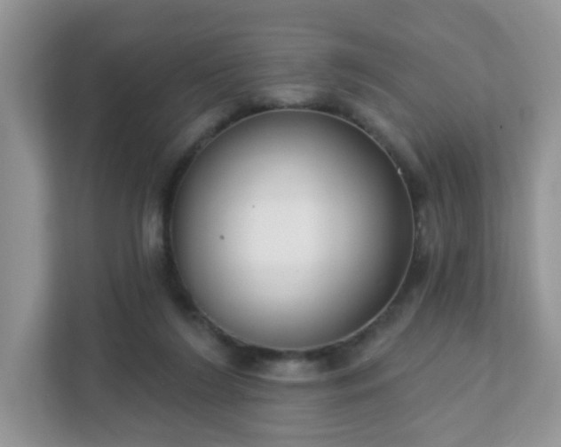 X0000111890212200907301204