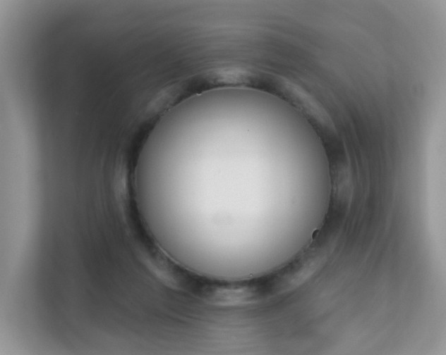 X0000111890213200907301204