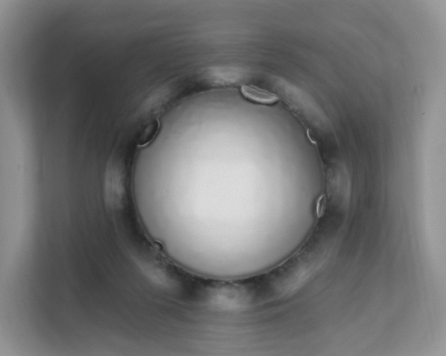 X0000111890215200907301204