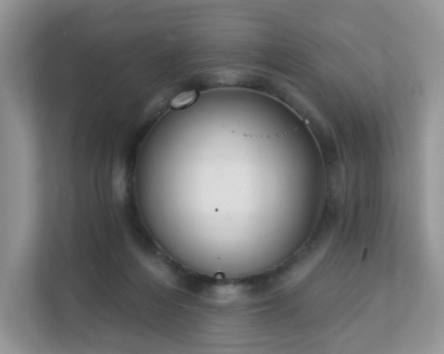 X0000111890216200907301204