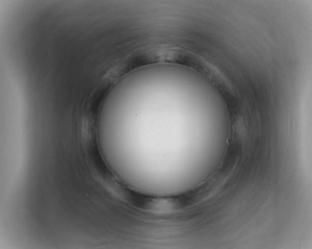 X0000111890218200907301204