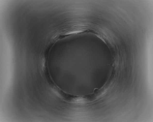 X0000111890219200907301204