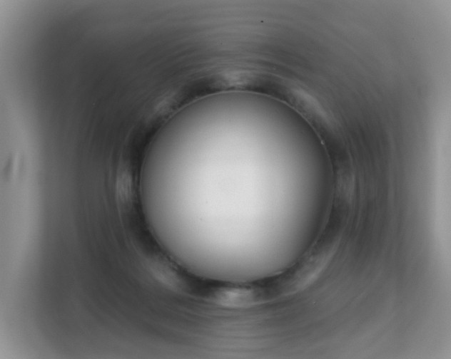 X0000111890220200907301204