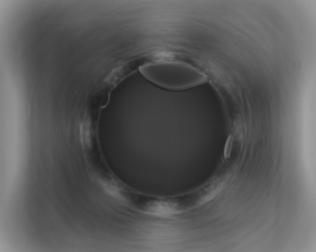 X0000111890223200907301204