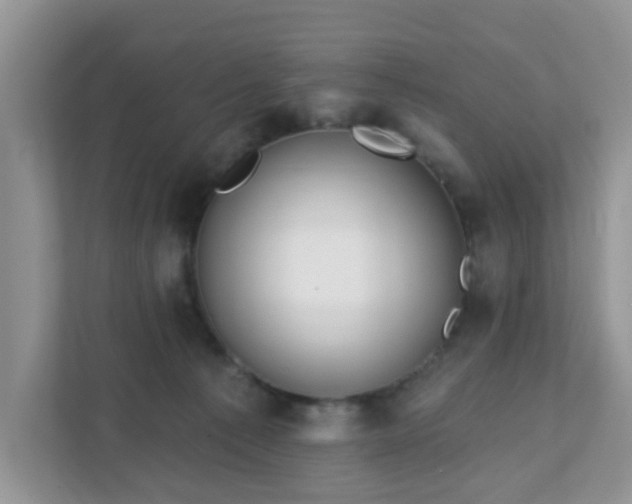 X0000111890225200907301204