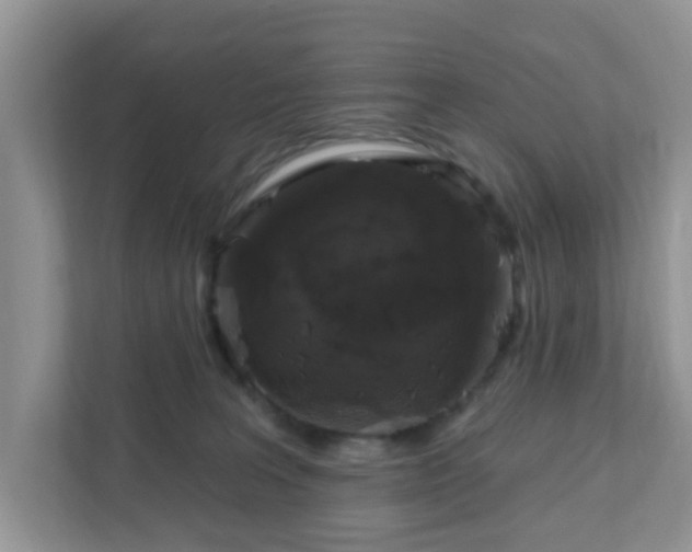 X0000111890227200907301204