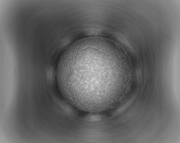 X0000111890228200907301204