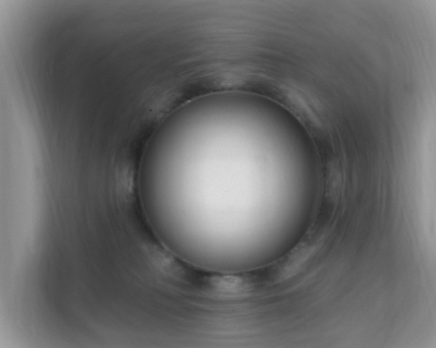 X0000111890230200907301204