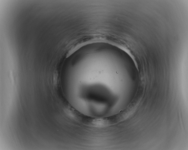 X0000111890231200907301204