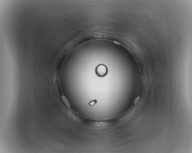 X0000111890233200907301204