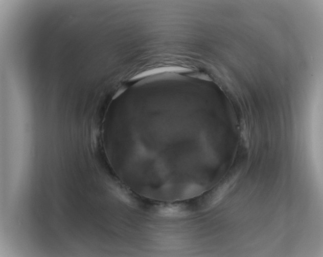 X0000111890235200907301204