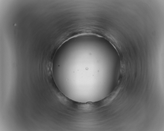 X0000111890237200907301204