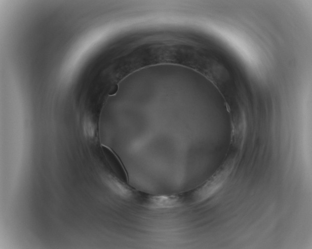 X0000111890239200907301204