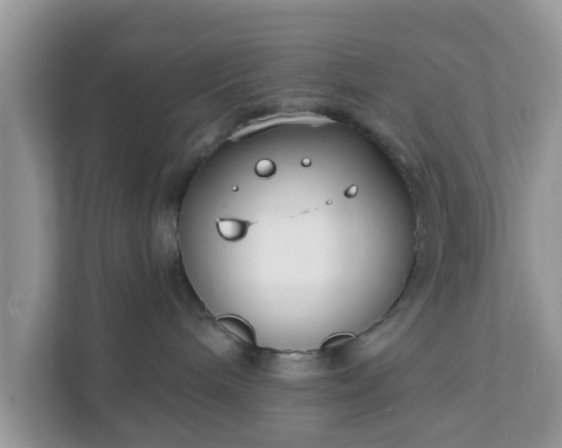 X0000111890240200907301204