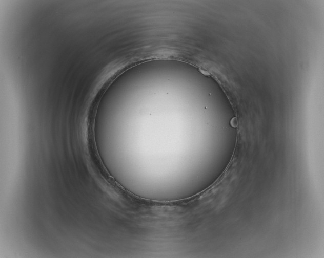 X0000111890242200907301203