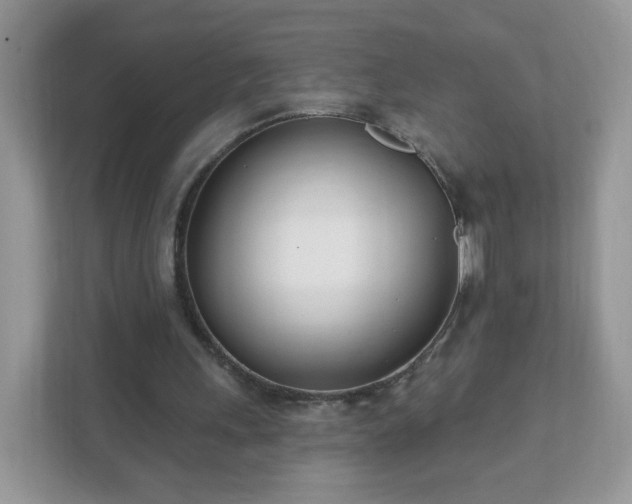 X0000111890243200907301203