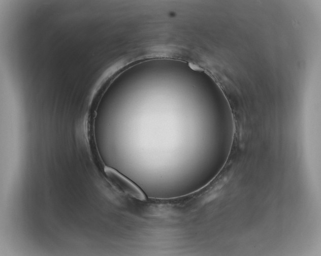 X0000111890244200907301203