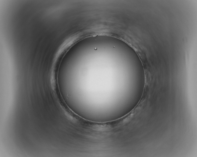 X0000111890245200907301203