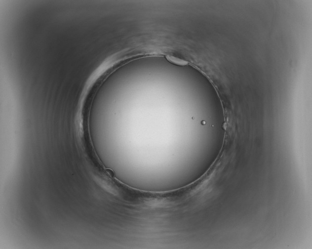 X0000111890246200907301203