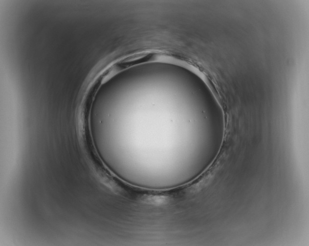 X0000111890247200907301203