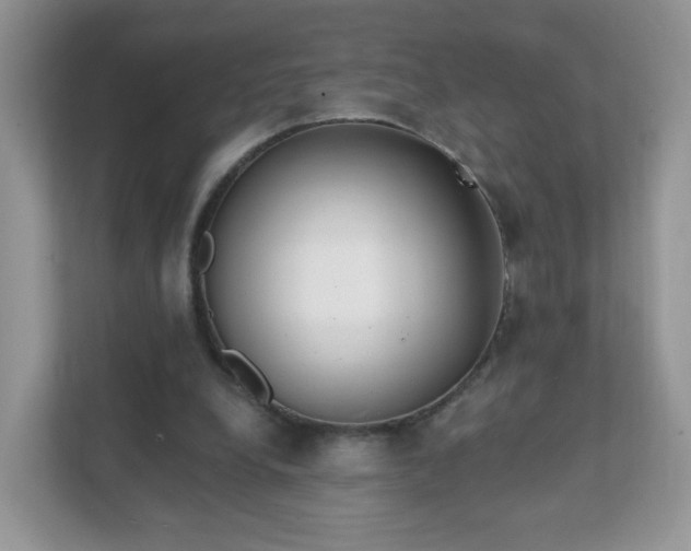 X0000111890248200907301203