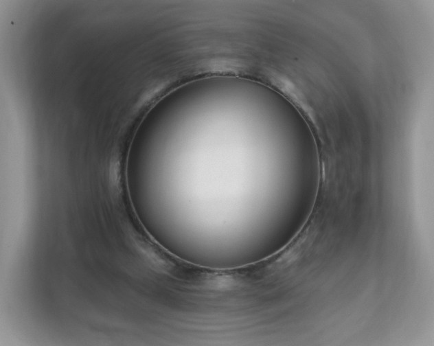 X0000111890249200907301203