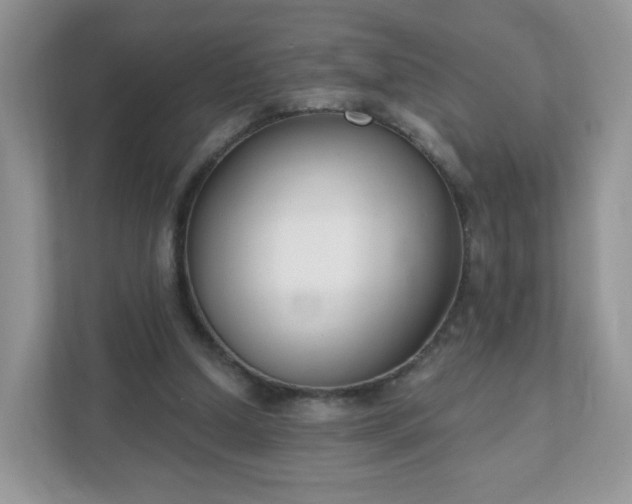 X0000111890250200907301203