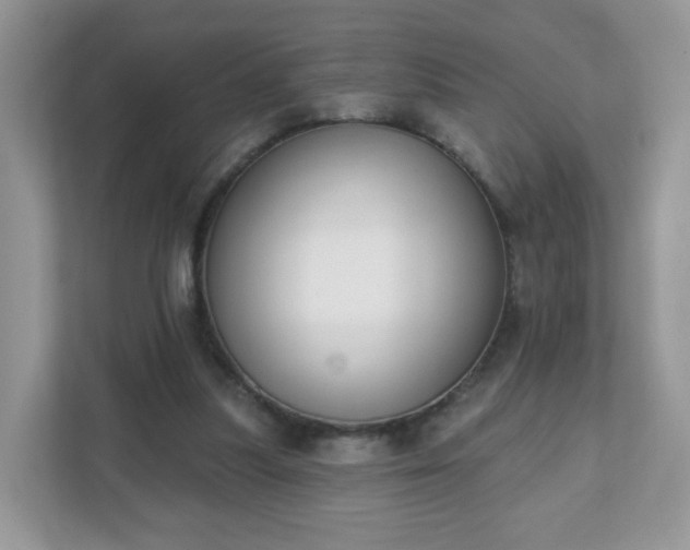 X0000111890251200907301203