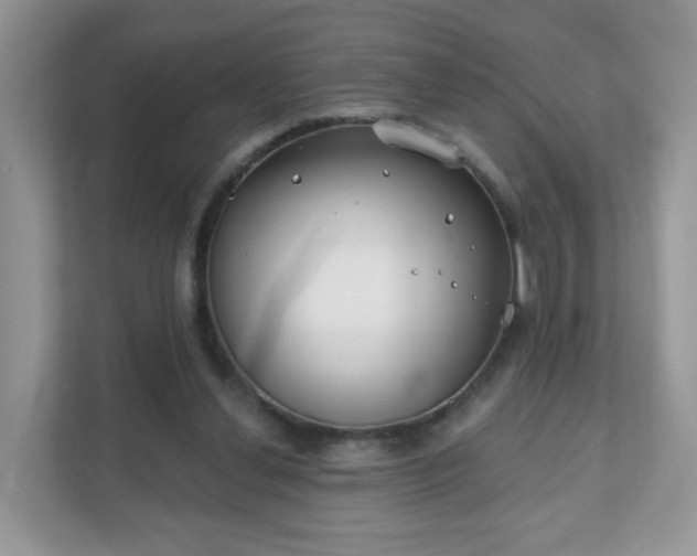 X0000111890252200907301203