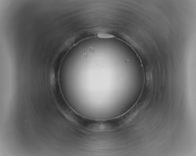 X0000111890254200907301203