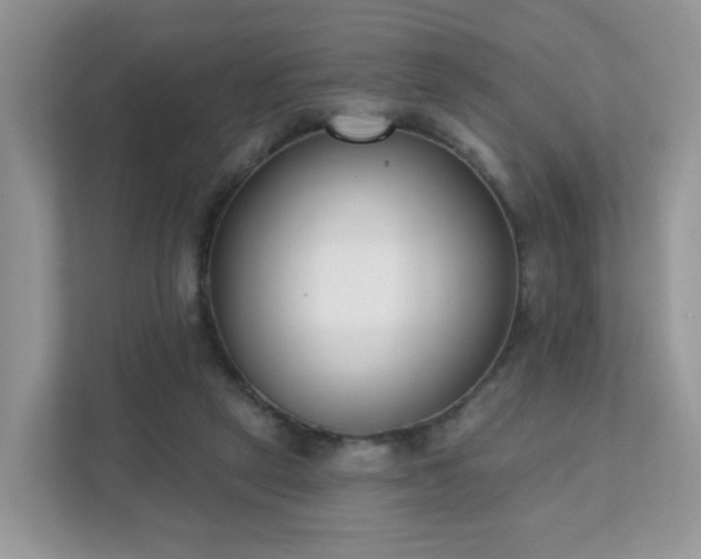 X0000111890257200907301203