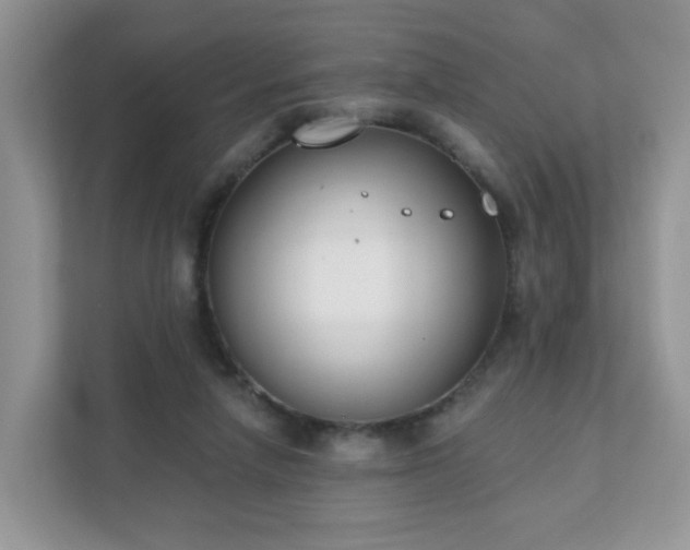 X0000111890258200907301203