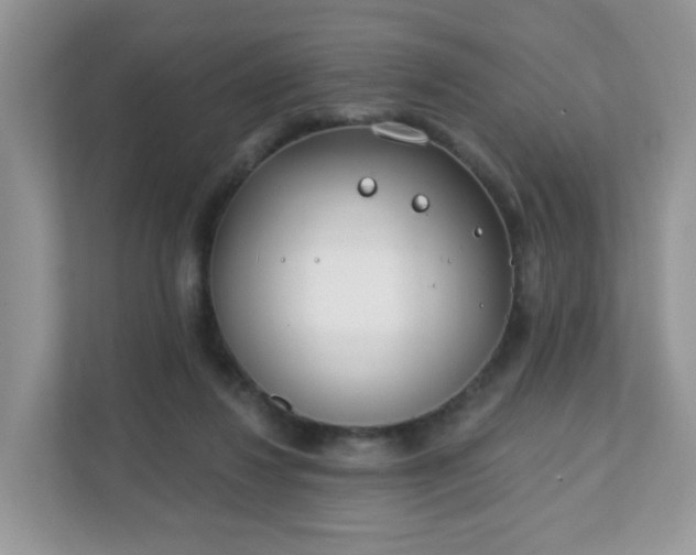 X0000111890260200907301203