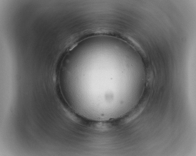 X0000111890261200907301203