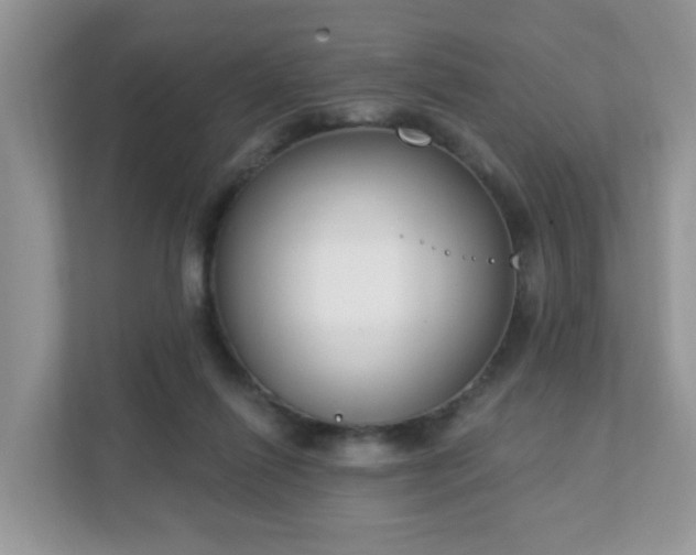 X0000111890262200907301203