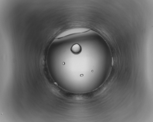 X0000111890264200907301203